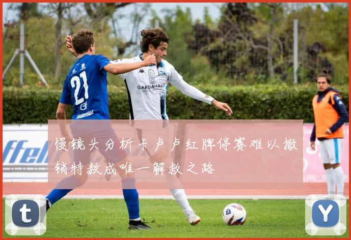 慢镜头分析卡卢卢红牌停赛难以撤销特赦成唯一解救之路