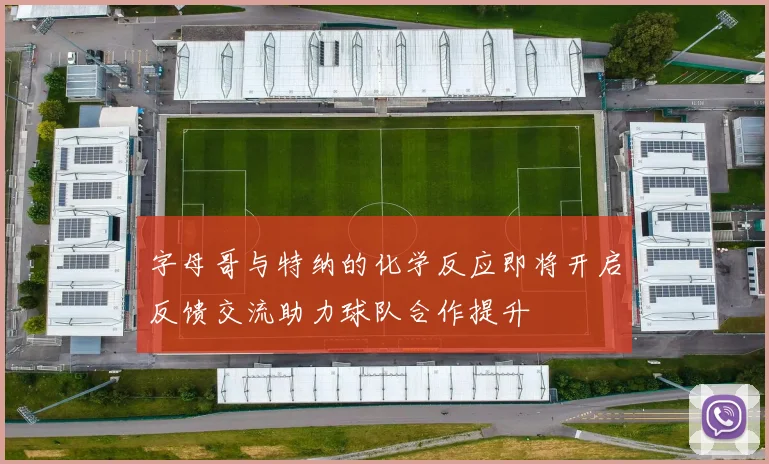 字母哥与特纳的化学反应即将开启反馈交流助力球队合作提升