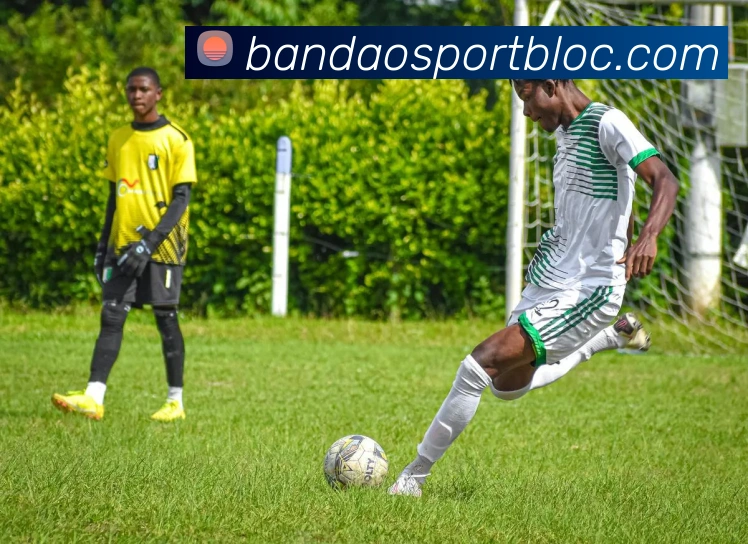 中超2025年16队总票房达581亿元同比增长37引发关注