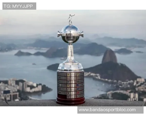 南美解放者杯决赛球队的巴西统治力近十年显著体现